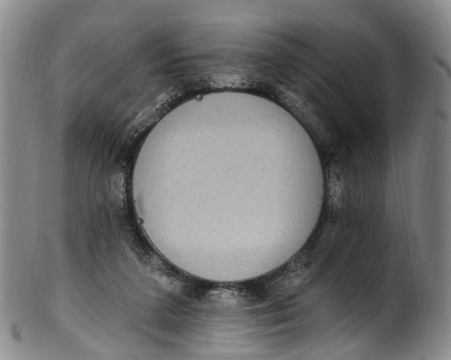 X0000100500211200806271306