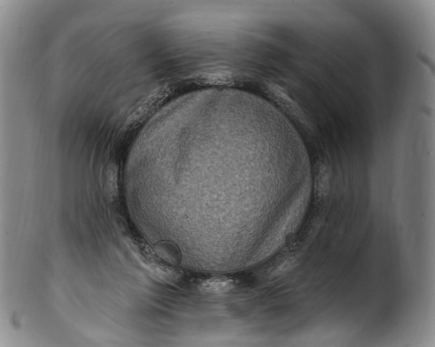 X0000100500213200806271306