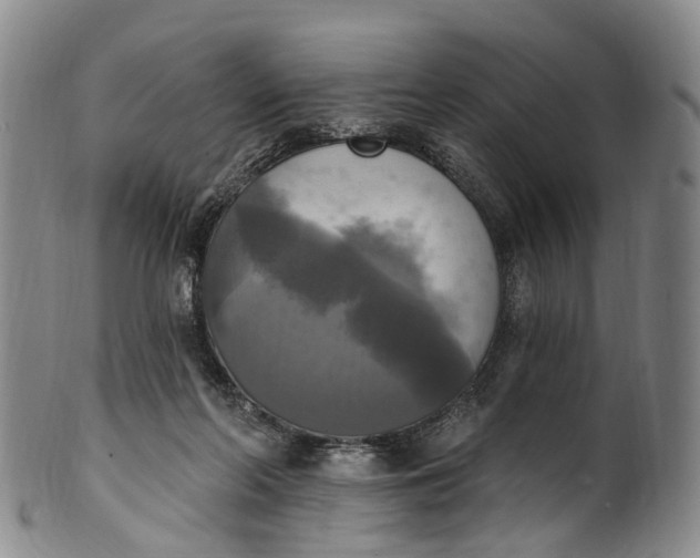 X0000100500214200806271306