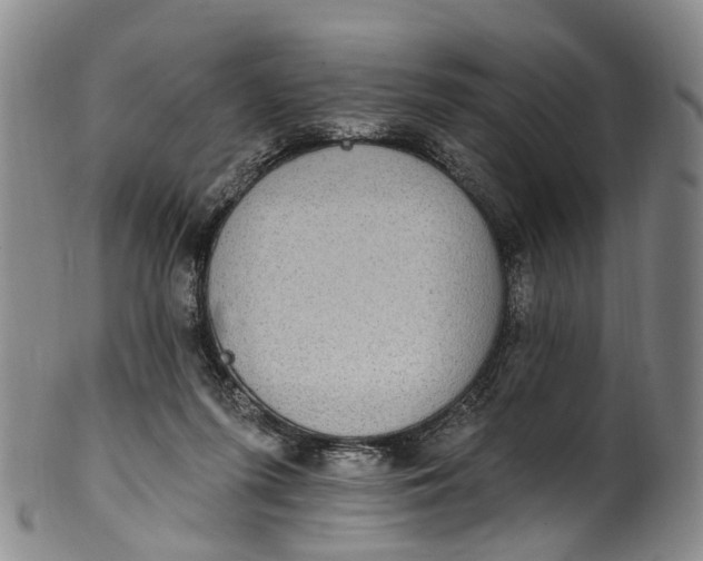 X0000100500215200806271306