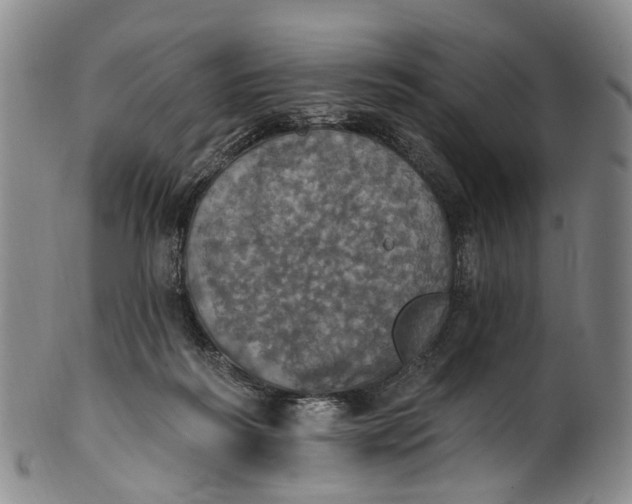 X0000100500218200806271306