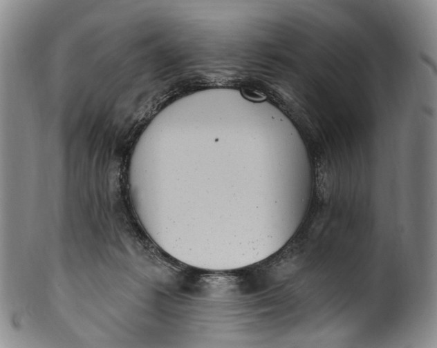 X0000100500221200806271306