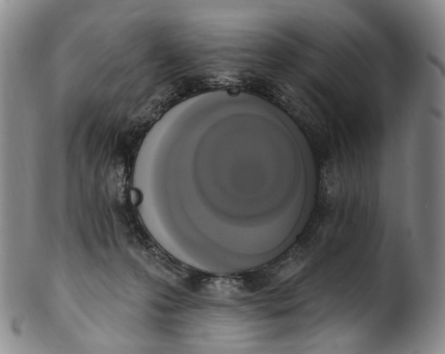 X0000100500223200806271306