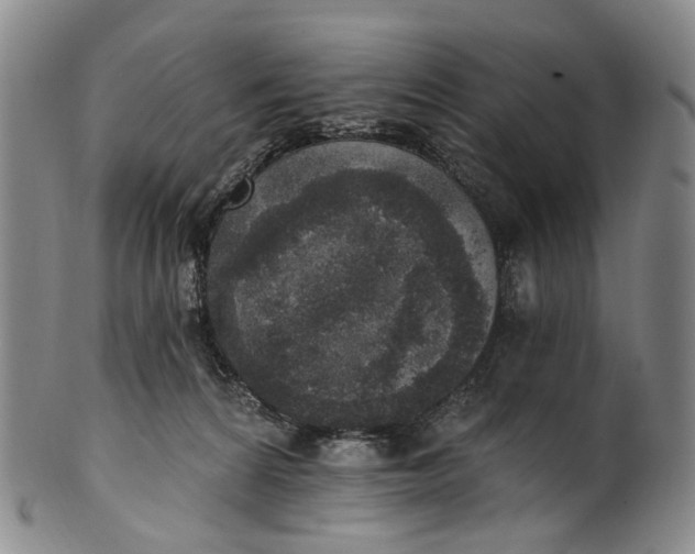 X0000100500224200806271306