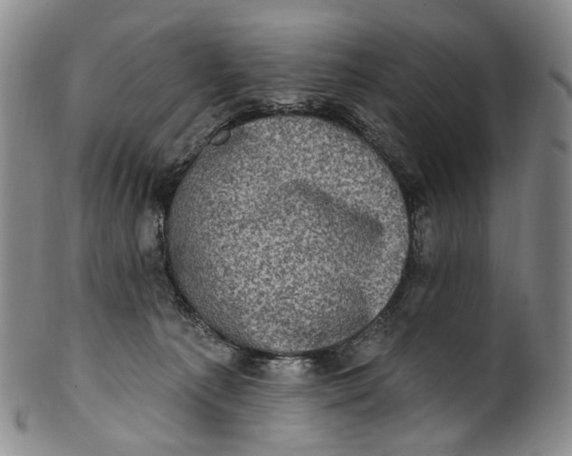 X0000100500225200806271306