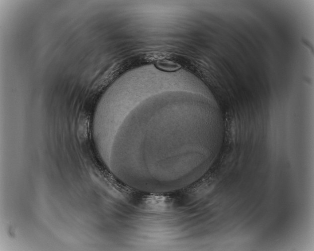 X0000100500227200806271306