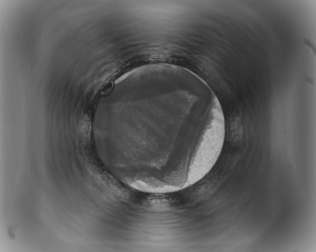 X0000100500228200806271306