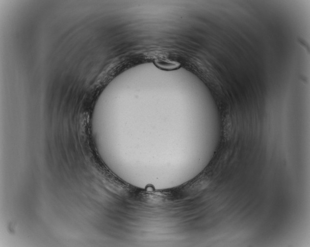 X0000100500229200806271306