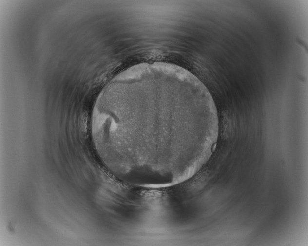 X0000100500230200806271306