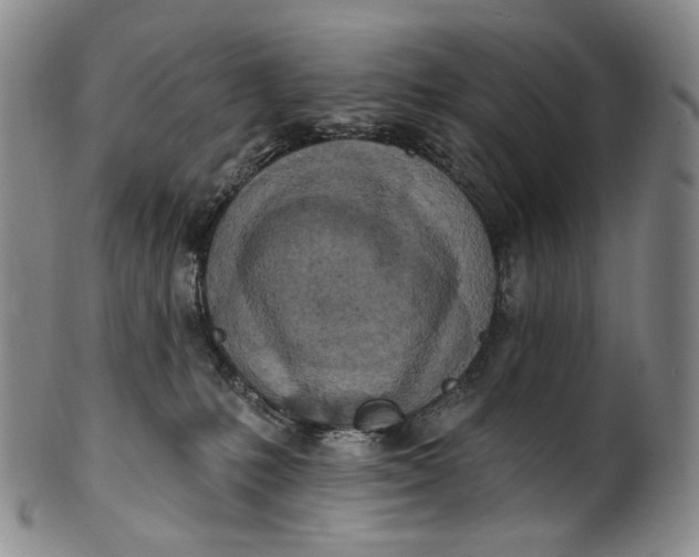 X0000100500231200806271306