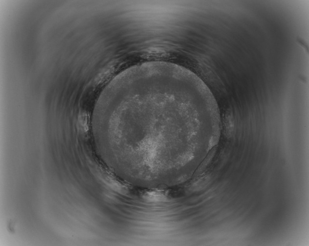 X0000100500232200806271306