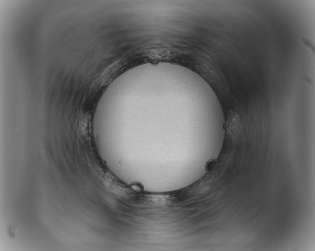 X0000100500233200806271306