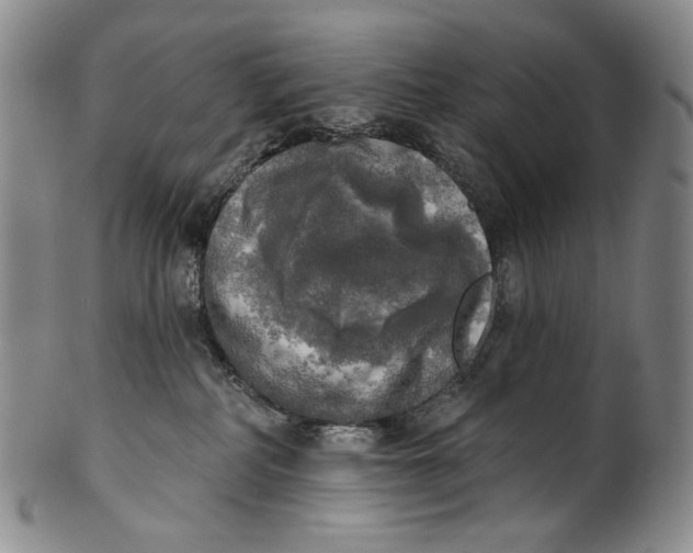 X0000100500234200806271306