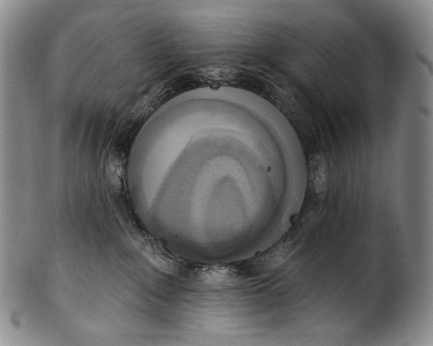 X0000100500235200806271306