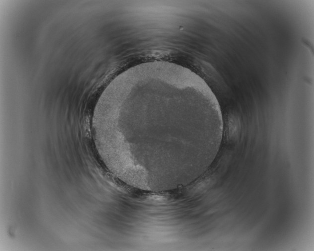 X0000100500236200806271306