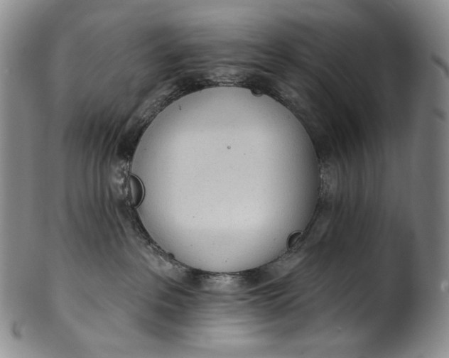 X0000100500237200806271306