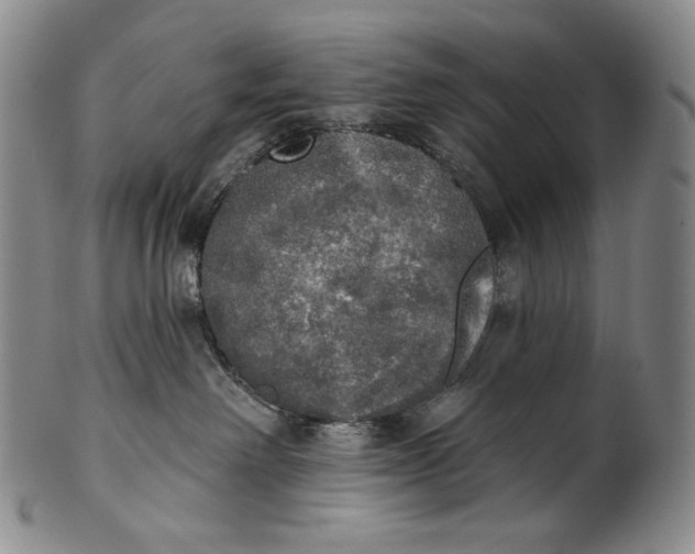 X0000100500238200806271306