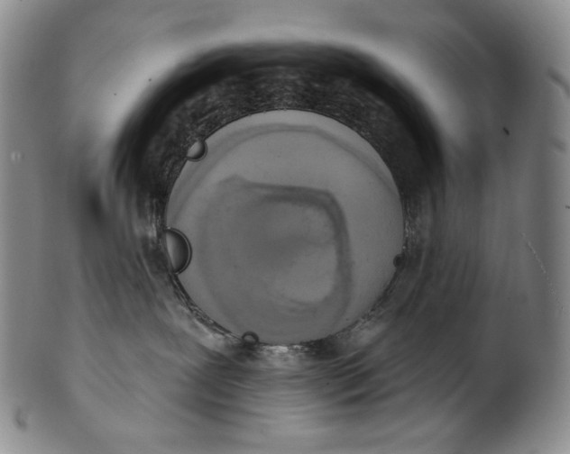 X0000100500239200806271306