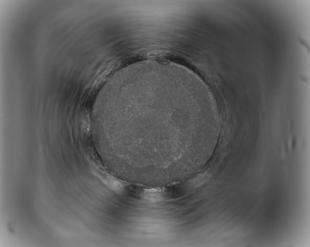 X0000100500240200806271306