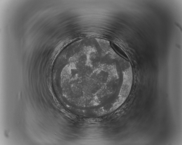 X0000100500241200806271305