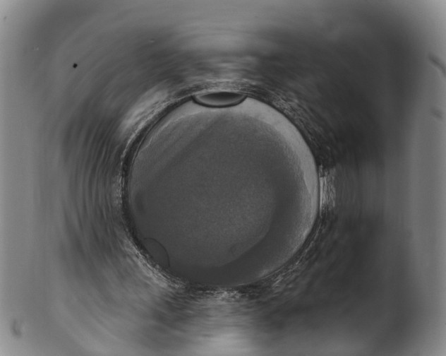 X0000100500243200806271305