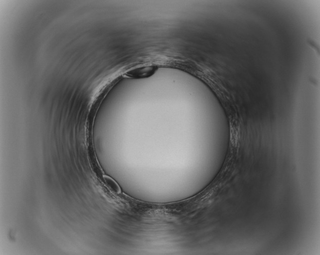 X0000100500244200806271305