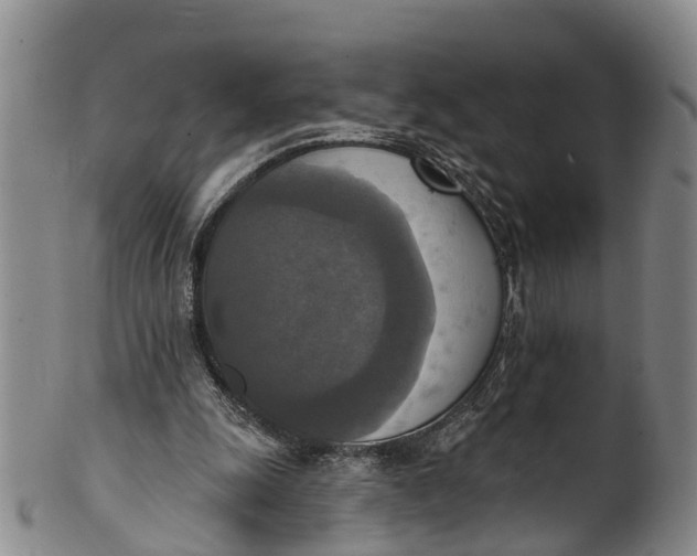 X0000100500247200806271305