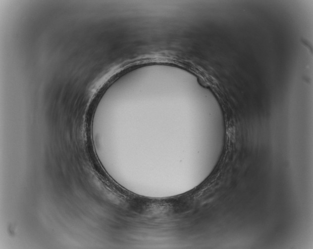 X0000100500248200806271305