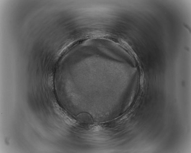 X0000100500249200806271305