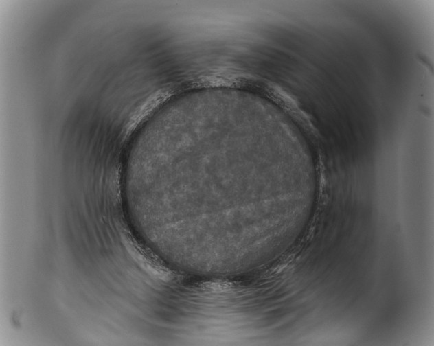 X0000100500250200806271305