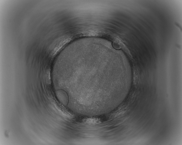 X0000100500251200806271305