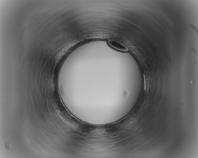 X0000100500252200806271305