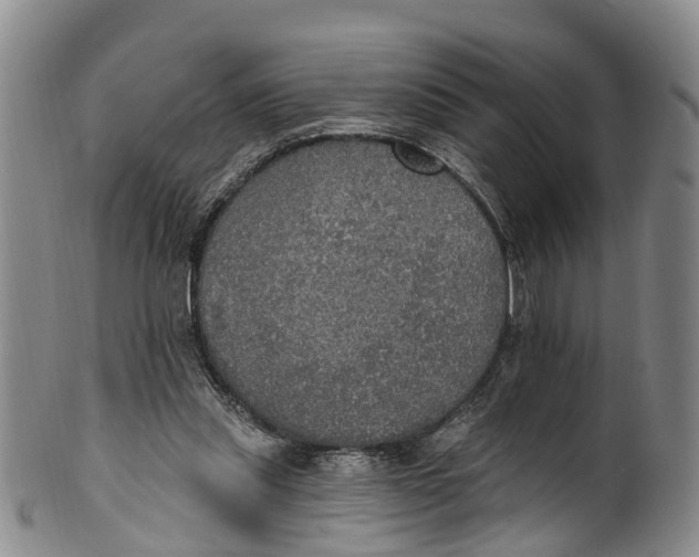 X0000100500253200806271305