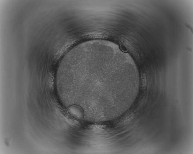 X0000100500255200806271305