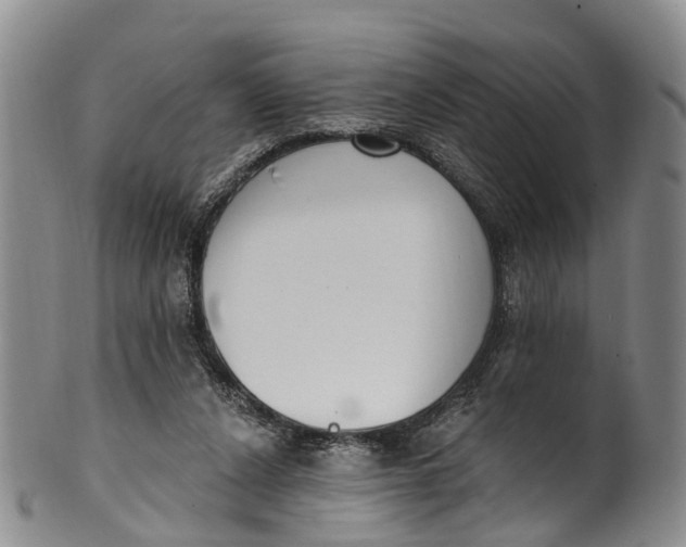 X0000100500256200806271305