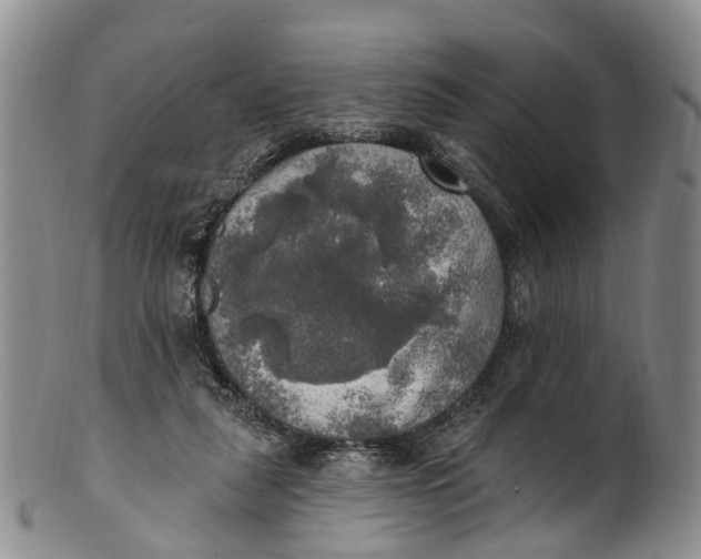 X0000100500259200806271305