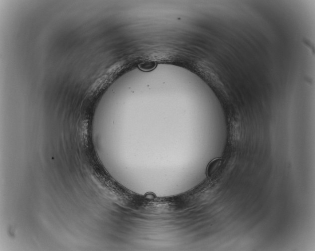 X0000100500260200806271305