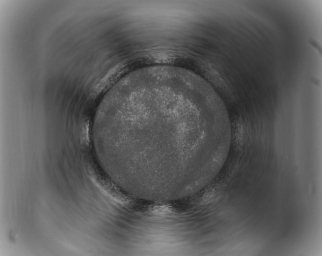 X0000100500262200806271305