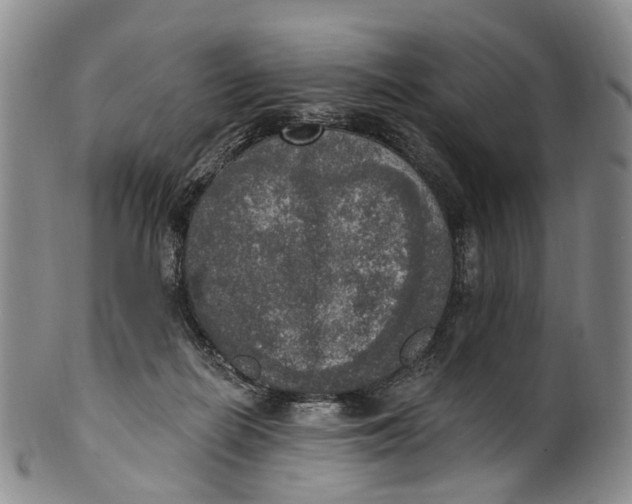 X0000100500266200806271305