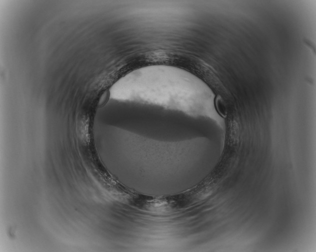 X0000100500267200806271305