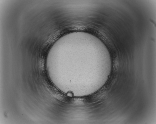 X0000100500268200806271305