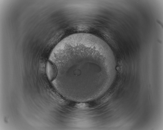 X0000100500269200806271305