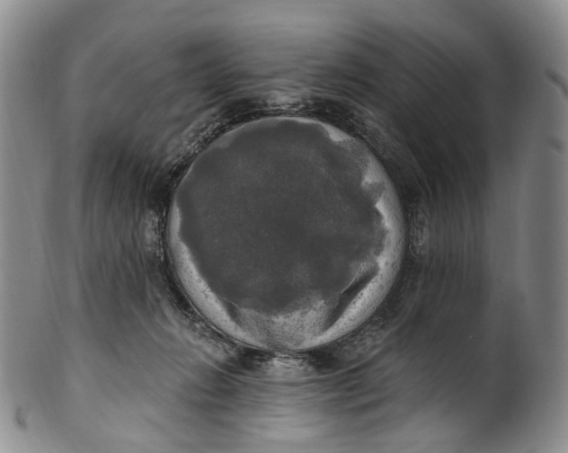 X0000100500270200806271305