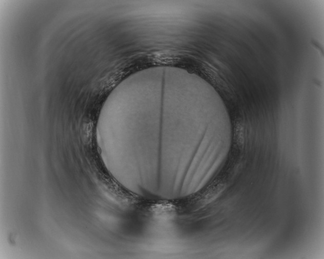 X0000100500271200806271305