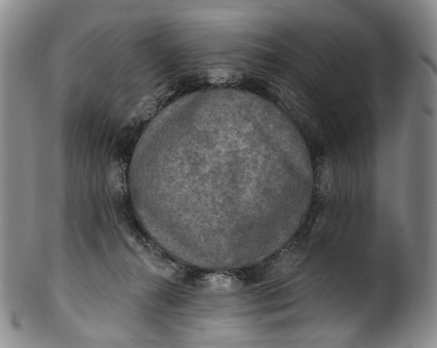 X0000100500272200806271305