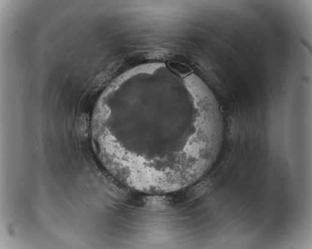 X0000100500273200806271305