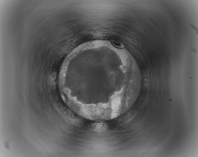 X0000100500275200806271306