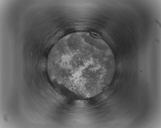 X0000100500277200806271306