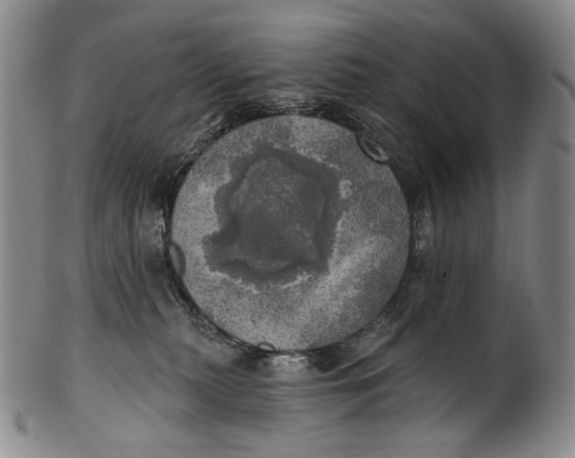 X0000100500279200806271306