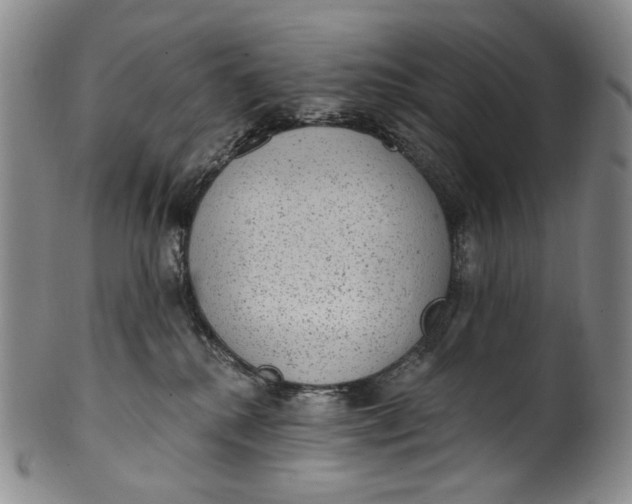 X0000100500280200806271306